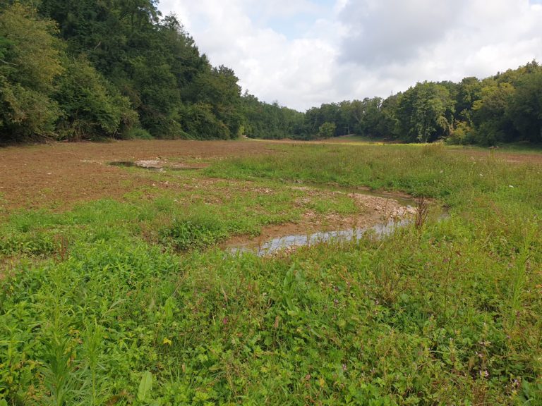 Vèze à Taxenne, aval de la prairie